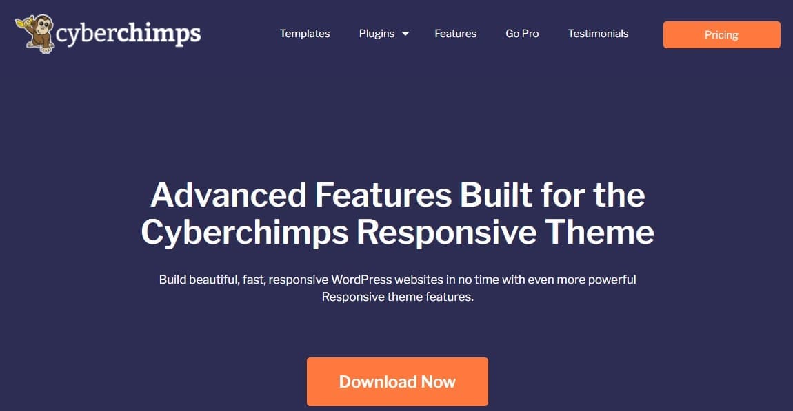 responsive theme coupon