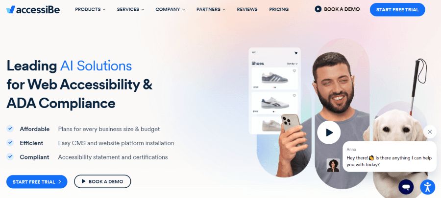web accessibility