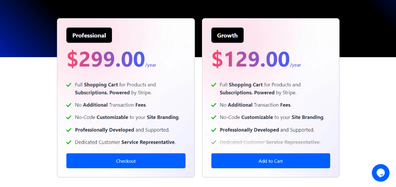 mindspun payment pricing