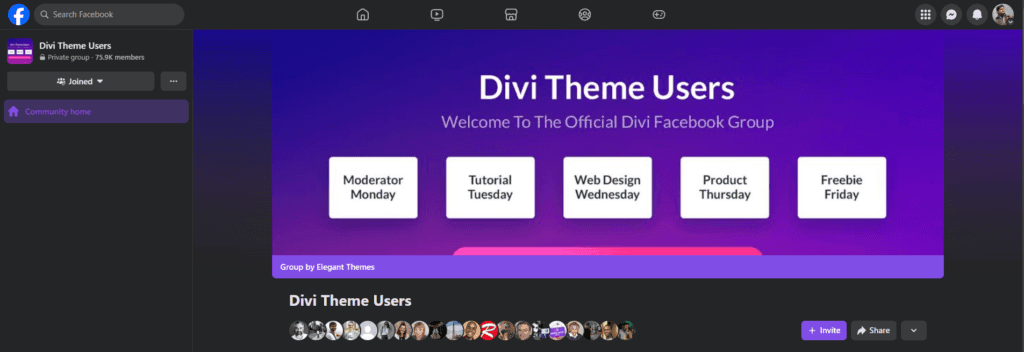 divi elegant themes community - divi theme review