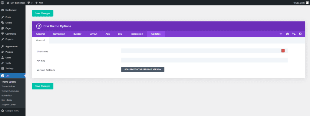 divi enter api key - divi theme review