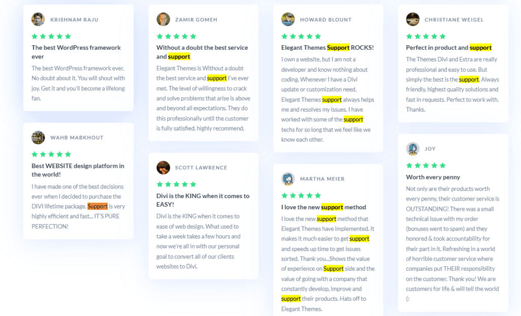 divi expert support - divi theme review