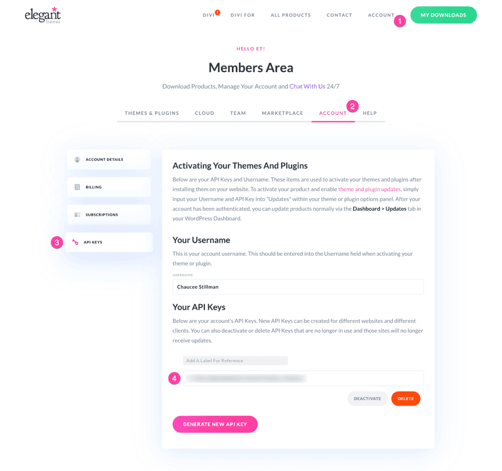 divi generate api - divi theme review