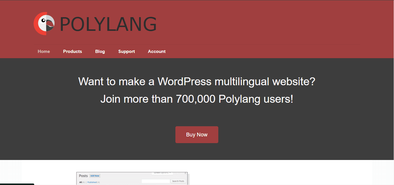 polylang coupon