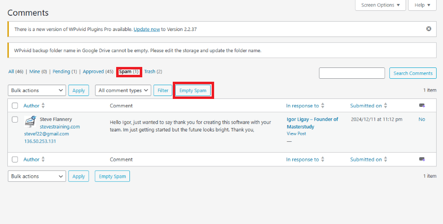 spam comment image