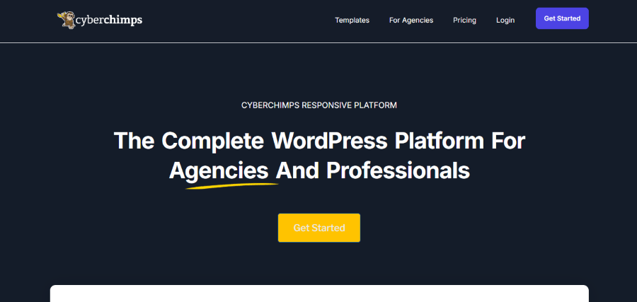 responsive theme hero image