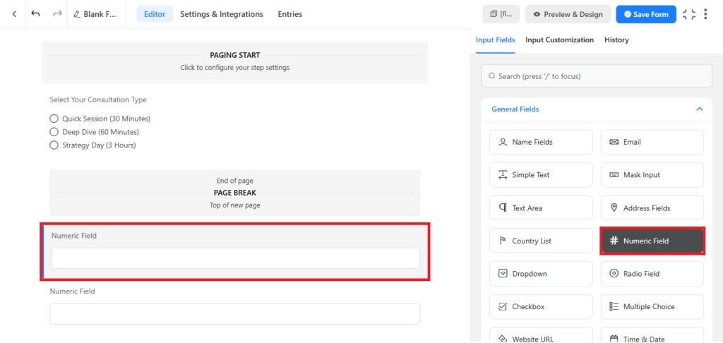 fluent forms numeric fields
