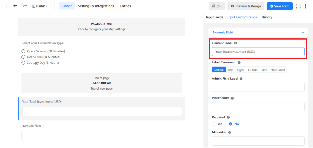 fluent forms numeric fields setting