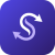 doublescale logo